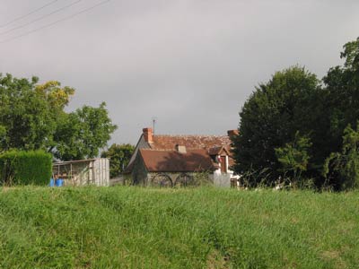 IMG_0131